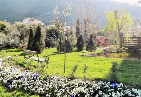 Il Parco di Sanming: Un Oasi Verde per l'Anima e un Ritratto Storico della Città!