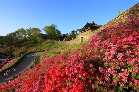  La Fortezza di Gongsanseong: Un Tuffo nel Passato e una Spettacolare Vista Panoramica